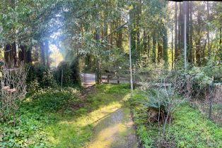 Single Family Residence,  Wagnon road, Sebastopol, CA 95472 - 40