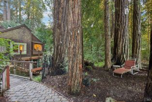 Single Family Residence,  Wagnon road, Sebastopol, CA 95472 - 31