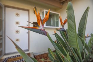 Single Family Residence, Seneca lane, Santa Rosa, CA 95403 - 6