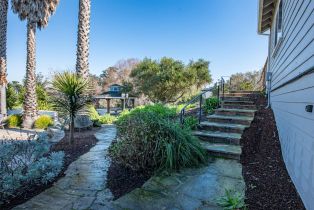 Single Family Residence, Shelina Vista lane, Petaluma, CA 94952 - 60