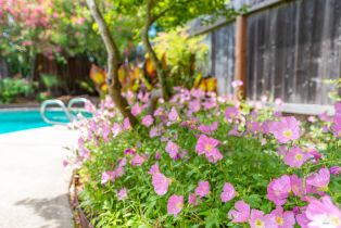 Single Family Residence,  Dunaway drive, Santa Rosa, CA 95403 - 5