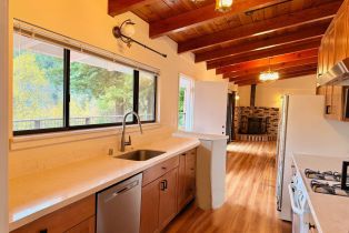 Single Family Residence,  Center way, Russian River, CA 95446 - 10