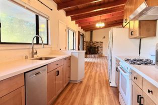 Single Family Residence,  Center way, Russian River, CA 95446 - 12