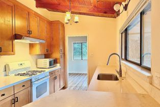 Single Family Residence,  Center way, Russian River, CA 95446 - 8