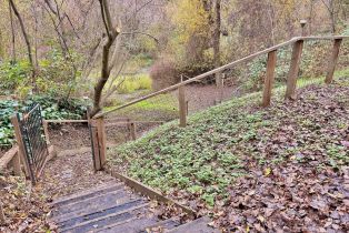 Single Family Residence,  Center way, Russian River, CA 95446 - 33