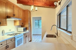 Single Family Residence,  Center way, Russian River, CA 95446 - 10