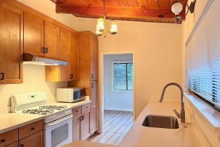 Single Family Residence,  Center way, Russian River, CA 95446 - 9