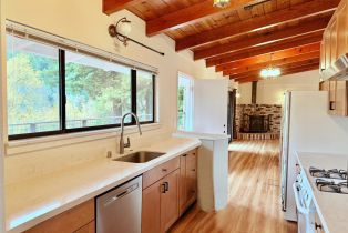 Single Family Residence,  Center way, Russian River, CA 95446 - 11