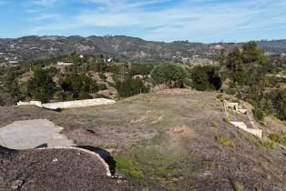Residential Lot,  Petalglen place, Santa Rosa, CA 95403 - 3