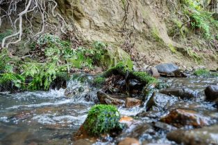 Single Family Residence,  Bennett Valley road, Glen Ellen, CA 95442 - 29