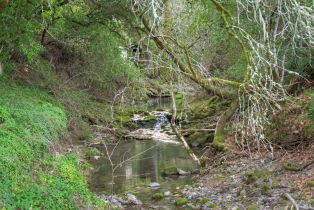 Single Family Residence,  Bennett Valley road, Glen Ellen, CA 95442 - 27