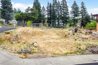 Residential Lot,  Vintage circle, Santa Rosa, CA 95404 - 7