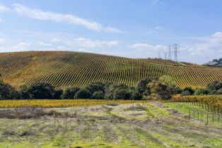 Single Family Residence,  Duhig road, Napa, CA 94559 - 48