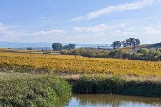 Single Family Residence,  Duhig road, Napa, CA 94559 - 52