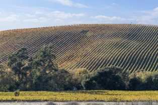 Single Family Residence,  Duhig road, Napa, CA 94559 - 57