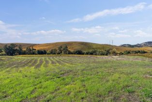 Single Family Residence,  Duhig road, Napa, CA 94559 - 56