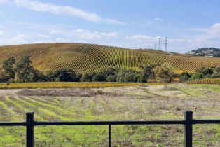 Single Family Residence,  Duhig road, Napa, CA 94559 - 55