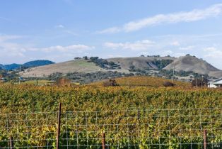 Single Family Residence,  Duhig road, Napa, CA 94559 - 54