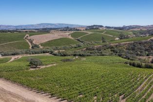 Single Family Residence,  Bloomfield road, Sebastopol, CA 95472 - 5