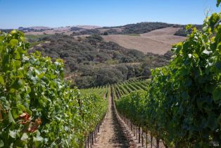 Single Family Residence,  Bloomfield road, Sebastopol, CA 95472 - 6