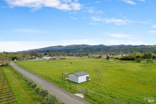 Agriculture,  Bennett lane, Calistoga, CA 94515 - 2