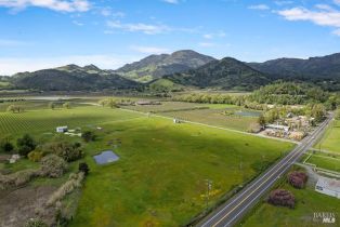 Agriculture,  Bennett lane, Calistoga, CA 94515 - 4
