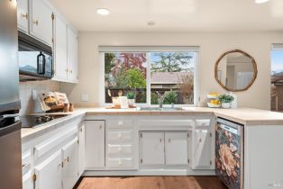 Single Family Residence,  Oak Trail court, Santa Rosa, CA 95409 - 16