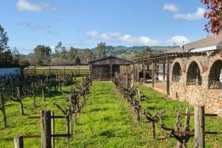 Single Family Residence,  Orange avenue, Sonoma, CA 95476 - 10