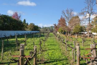 Single Family Residence,  Orange avenue, Sonoma, CA 95476 - 9