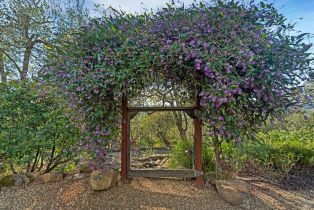 Single Family Residence,  Trinity road, Glen Ellen, CA 95442 - 48