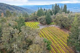 Single Family Residence,  Trinity road, Glen Ellen, CA 95442 - 3