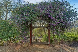 Single Family Residence,  Trinity road, Glen Ellen, CA 95442 - 42