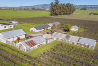 Single Family Residence, Lakeville highway, Petaluma, CA 94954 - 10