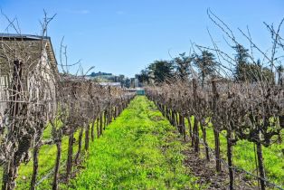 Single Family Residence, Lakeville highway, Petaluma, CA 94954 - 39