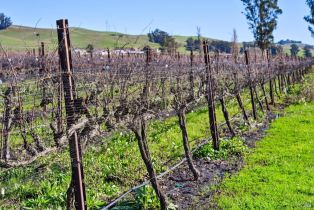 Single Family Residence, Lakeville highway, Petaluma, CA 94954 - 37