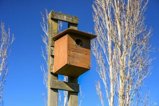 Single Family Residence, Lakeville highway, Petaluma, CA 94954 - 42