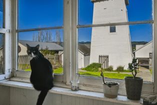 Single Family Residence, Lakeville highway, Petaluma, CA 94954 - 62