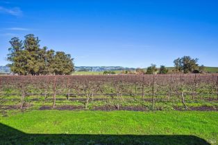 Single Family Residence, Lakeville highway, Petaluma, CA 94954 - 28