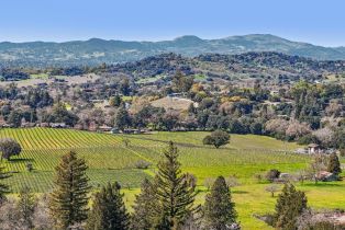 Single Family Residence,  Stonedge drive, Napa, CA 94558 - 78