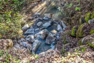 Single Family Residence,  Loch Haven drive, Santa Rosa, CA 95404 - 40