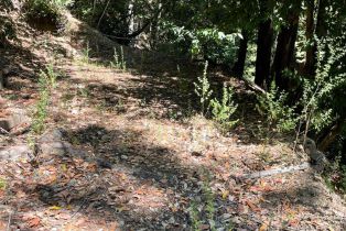 Residential Lot,  Duncan road, Russian River, CA 95446 - 6