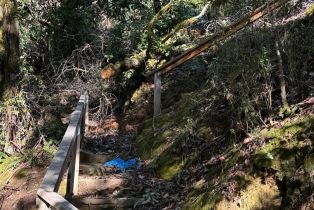 Residential Lot,  Duncan road, Russian River, CA 95446 - 2