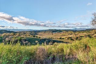 Single Family Residence, Chalk Hill road, Healdsburg, CA 95448 - 75