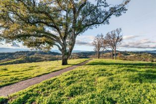 Single Family Residence, Chalk Hill road, Healdsburg, CA 95448 - 76