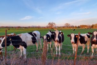 Single Family Residence,  Ludwig avenue, Santa Rosa, CA 95407 - 50