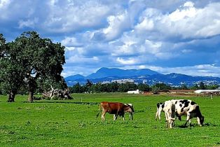 Single Family Residence,  Ludwig avenue, Santa Rosa, CA 95407 - 47