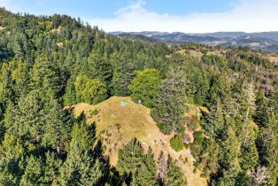 Residential Acreage,  Pole Mountain road, Russian River, CA 95421 - 42