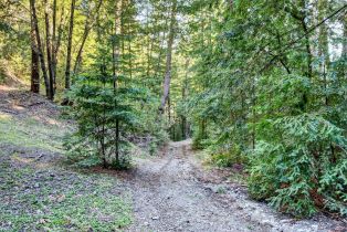 Residential Acreage,  Pole Mountain road, Russian River, CA 95421 - 15