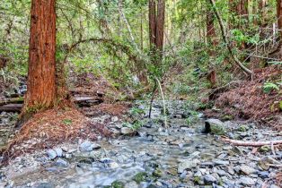 Residential Acreage,  Pole Mountain road, Russian River, CA 95421 - 20