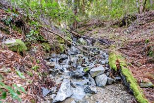 Residential Acreage,  Pole Mountain road, Russian River, CA 95421 - 22